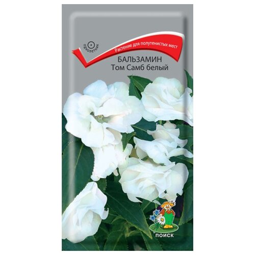 ������ ������ ������ ����� ��������� ��� ���� ����� 0.1 � ����