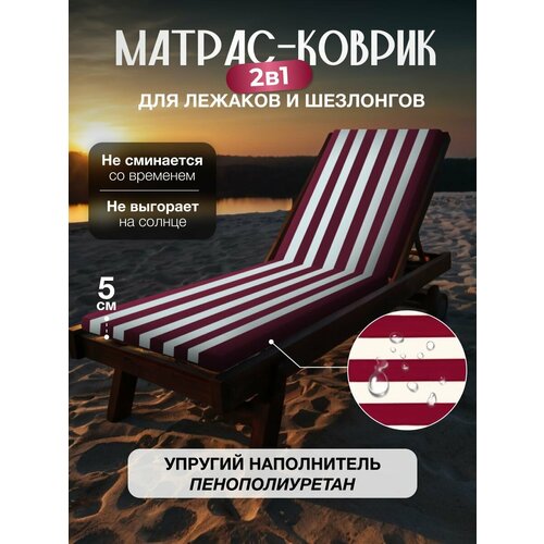 ������ ������ ������ ��� �������� ����������������� ���������� ���, 55�180 �� ����