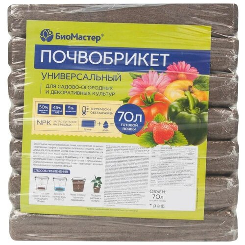 ������ ������ ����������� ��������� �������������, 70 �, 6.2 �� ����