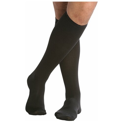 ������ ������ ������ �������������� ������� ORTO 323, 2 ����� L ���� ����