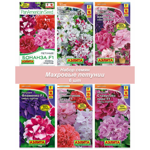 ������ ������ ������ ������ ������� �������� ����