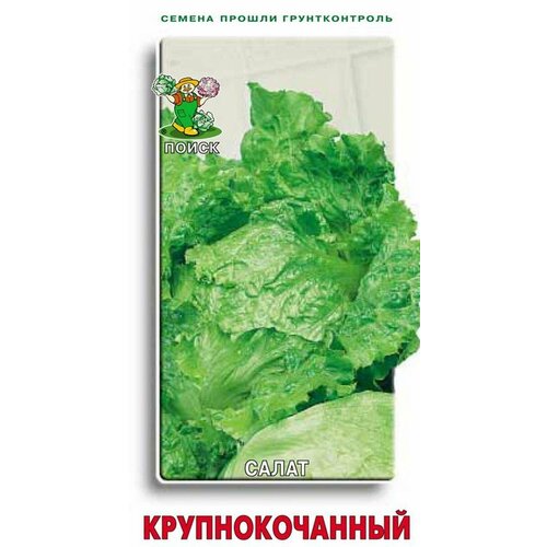 ������ ������ ������ ����� ����� ��������������, 1 � ����