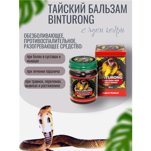 ������ ������ ������� Binturong �������������� � ���� �����, ������ 50 ��, ������� ����