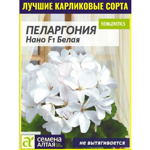 ������ ������ ������ ���������� ���������� ���� F1 ����� - 3 ��. ����������� ��������� ������ ����