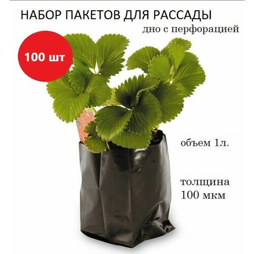 ������ ������ ����� ��� ������� 1�, ������� 100���, ������, 100��. ����