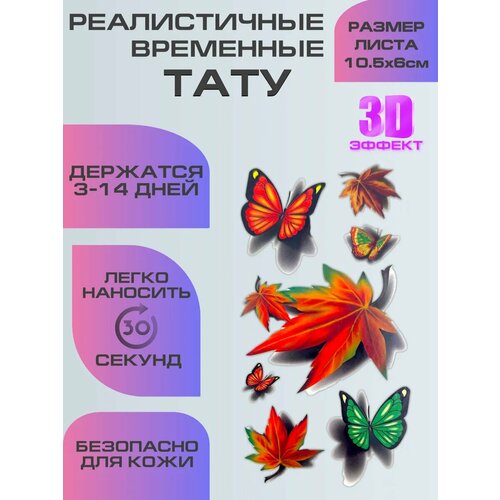 ������ ������ ���� ����������, ��������� ���������� 3D ������� ����