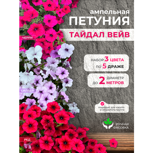 ������ ������ ��������� ������� ���������������� ������ ������ ���� 3 ����� �� 5 ����� ����