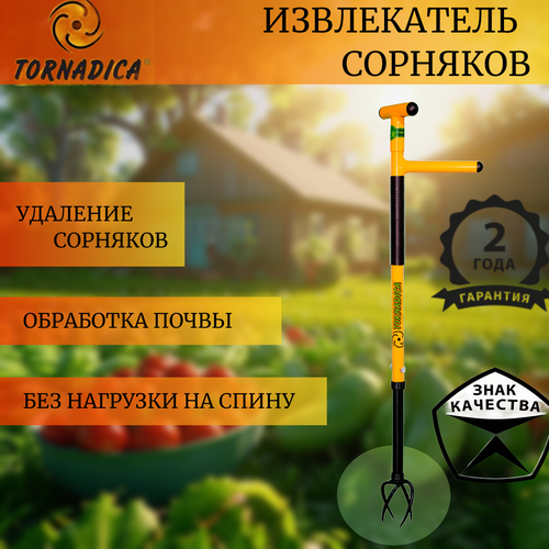 ������ ������ ������ ����������� ����������� �������� ���������/ �������������� ������� Tornadica ����