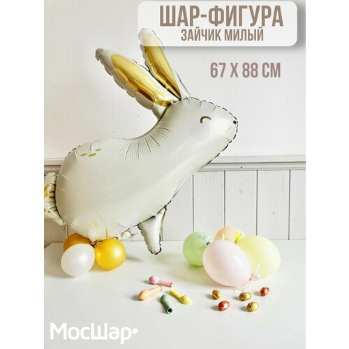 ������ ������ ��������� �������������� ��� ���� ����