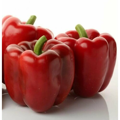 ������ ������ ������������� ������ ����� �������� 3 �������� F1 ����