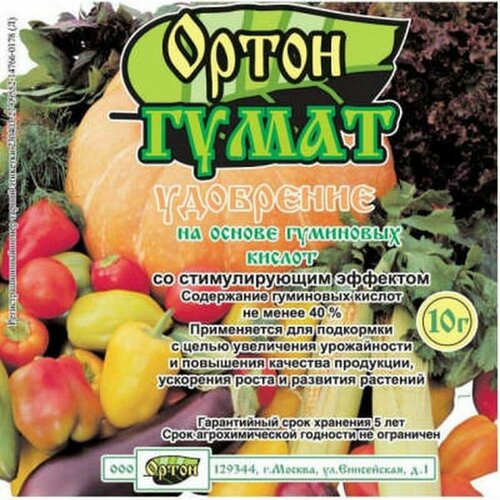 ������ ������ ����� 10� ����� ����