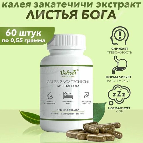 ������ ������ ����� ���������� ������ ����, �������� 60 ������ ����