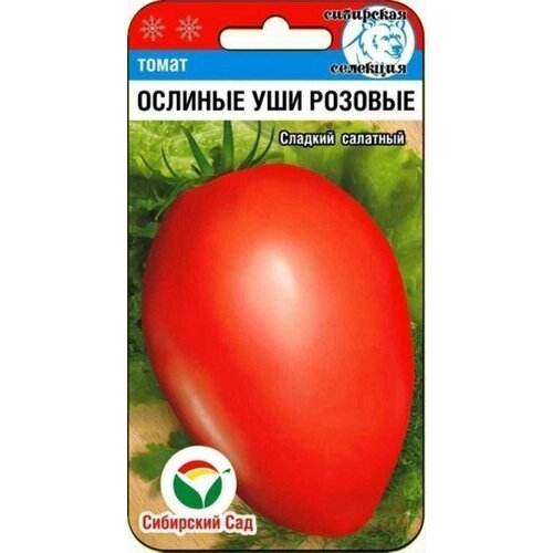 ������ ������ ������ ����� ������� ��� ������� 20�� ����� (��������� ���) ����