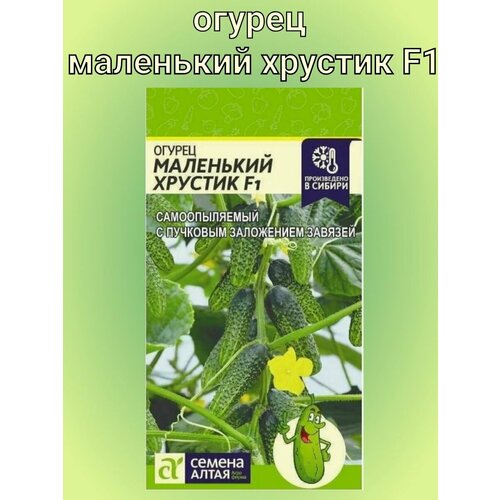 ������ ������ ������ ������ ��������� ������� F1. ����