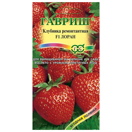 ������ ������ ������ ������ ������� ������� �������� ������������ ����� F1, ��������, 5 ��. ����