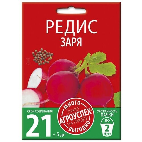 ������ ������ ����� ����, ������ ��������� �����-������� 10� ����