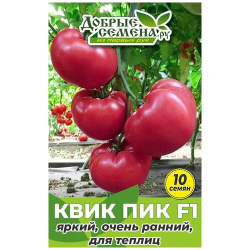 ������ ������ ������ ������ ���� ��� F1 - 10 �� - ������ ������. �� ����