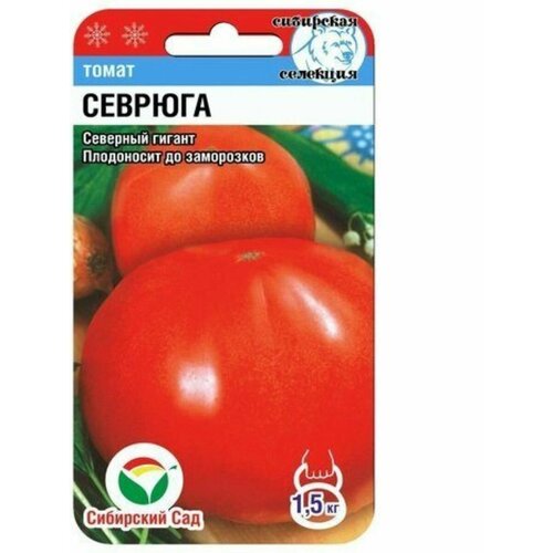 ������ ������ ������ ������� ������� (1 ��������-20 �� �����) ����