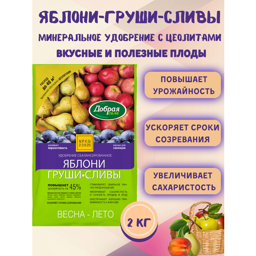 ������ ������ ������ ���� ����� ��������� ������-�����-�����, ����� 2 �� ����