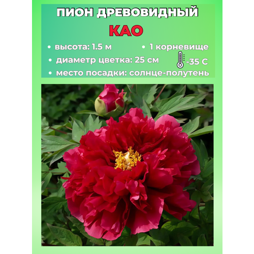 ������ ������ ���� ����������� ���, ������� 1 ����� ����