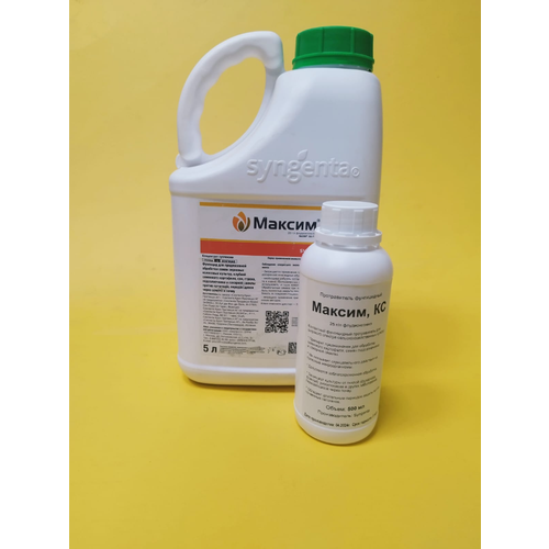 ������ ������ ������������ ������ 500 �� ����