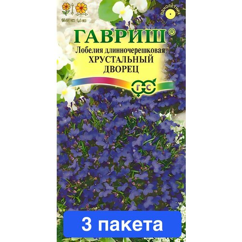 ������ ������ ����� ������� ����������� ������ 3 ������ ����