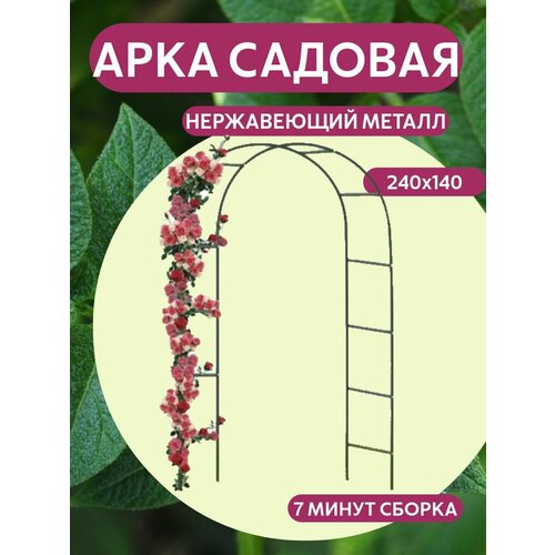 ������ ������ ���� ������� ������������� 240 x 37 x 140 �� ����