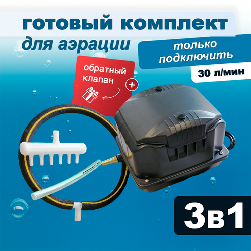 ������ ������ �������� ������� ��� ����� � �����, ���������� + ������� + �����, 30 �/��� ����