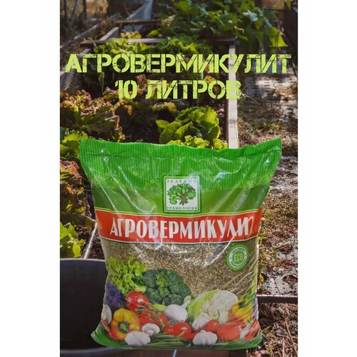 ������ ������ ���������� ���������� 10� ����