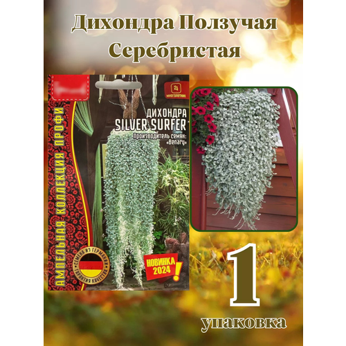 ������ ������ �������� �������� ����������� 1�� ����