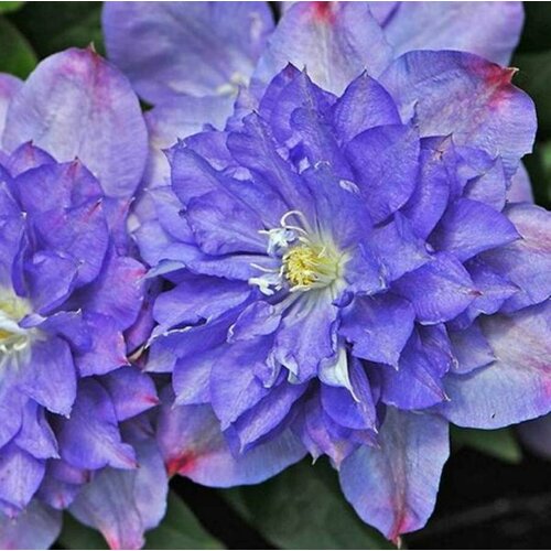 ������ ������ ������ �������� ��������������� ��� ��������� 0,05 � (1 ��������) ����