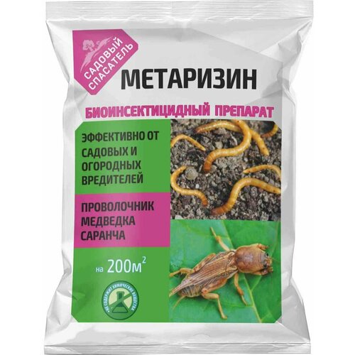 ������ ������ ��������� ������� ��������� (25 � �����) ����