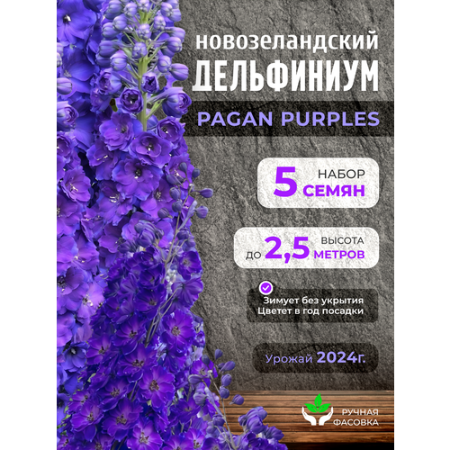 ������ ������ ������ ��������������� ����������� 5 �� ����� ����� ����