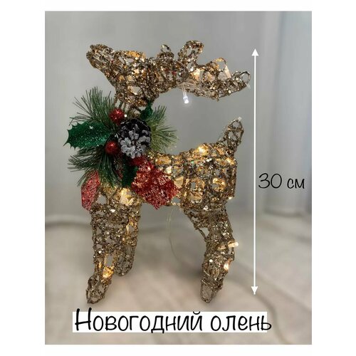 ������ ������ ����� ���������� ����