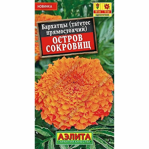 ������ ������ ������ �������� ������ �������� ����, ����������, (������) 0,1� ����