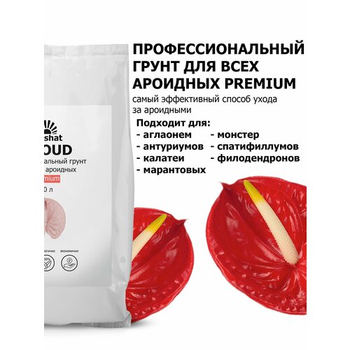 ������ ������ ���������� Pr�mium ��� ���������, ������������ � ������ �������� 10 � ����