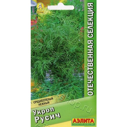 ������ ������ ����� ����� (3 ��������), ������ ����