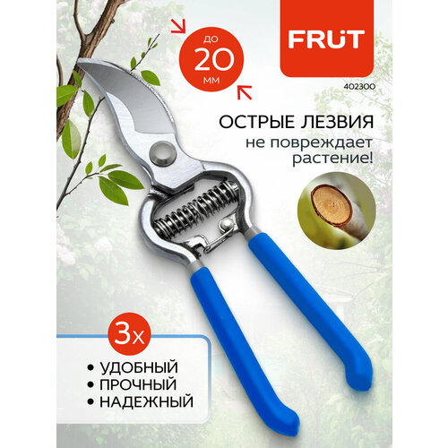 ������ ������ ������� ������������� �������� ������������� FRUT ����