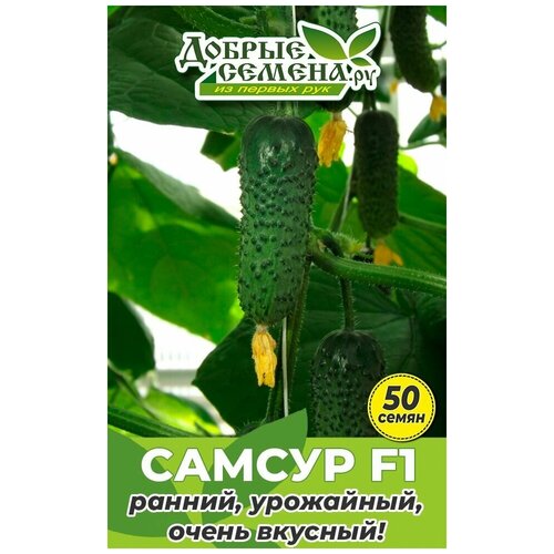 ������ ������ ������ ������ ������ F1 - 50 �� - ������ ������. �� ����