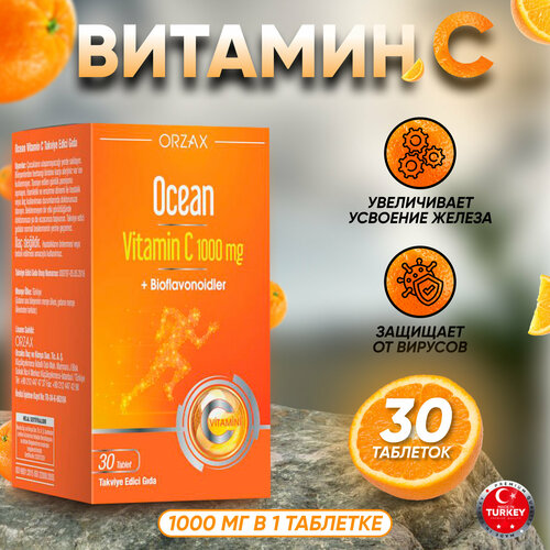 ������ ������ ������� C 1000 �� ����