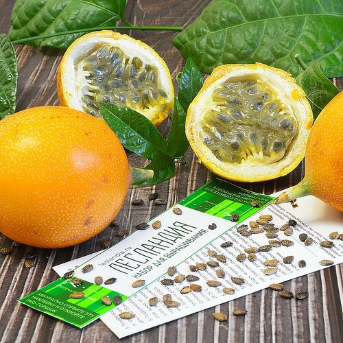 ������ ������ ���������� ��������� ���������� ��������, ������, 5 �� ����