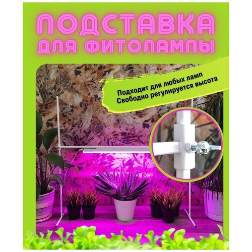 ������ ������ ��������� ��� ��������� 80, ��������� ��������������� ����