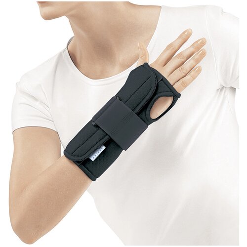 ������ ������ Orlett ����� �� ������������� ������ WRS-202, ������ L, ������ ����