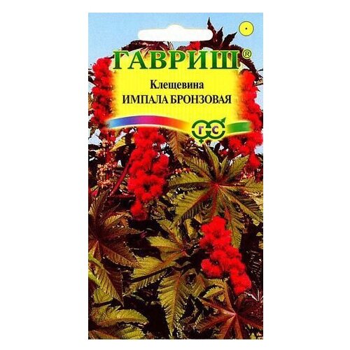 ������ ������ ������ ������ ��������� ������ ��������� 5 ��. ����