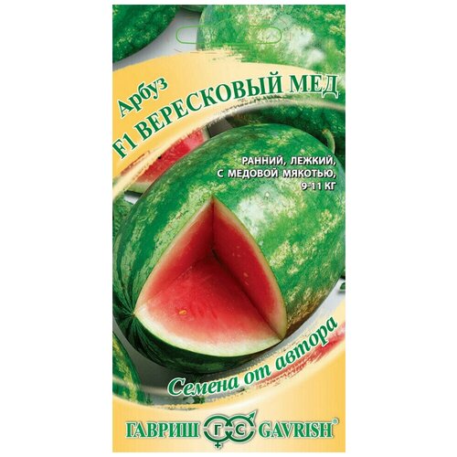 ������ ������ ������ ����� ���������� ��� F1, 5��, ������, ������ �� ������ ����