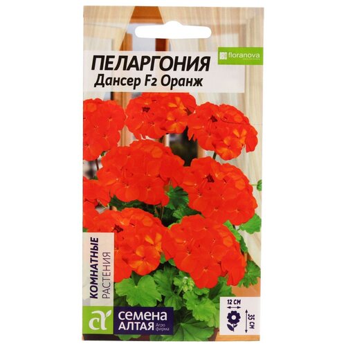 ������ ������ ������ ������ ����� ���������� ������ F2 �����, 4 �� ����