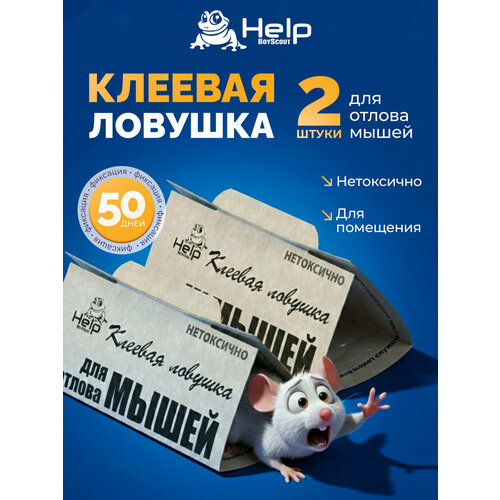 ������ ������ ������� ������� Help, �� �����, ��������� ������, �����, 2 �� ����
