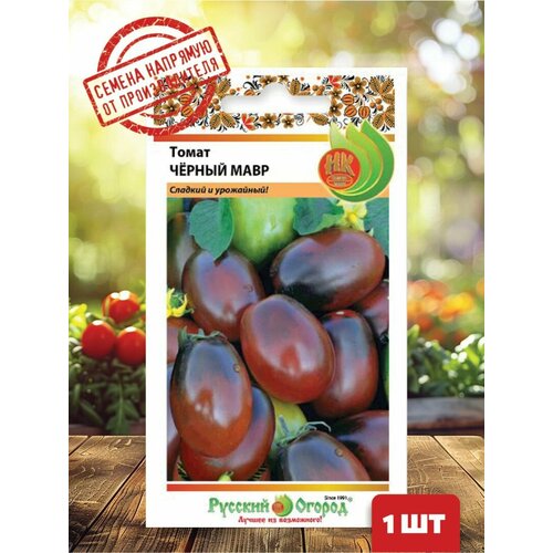 ������ ������ ������ ����� ������ ���� ����