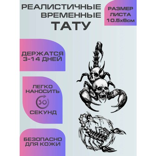 ������ ������ ���� ���������� ��������������, ��������� ���� �������� ����