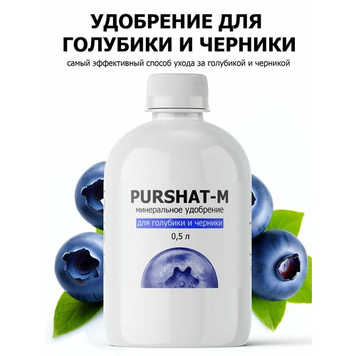 ������ ������ ��������� ��� �������� � ������� ������ (Purshat) 500 �� ����